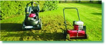 Elmcroft Turfcare Lawncare Specialists