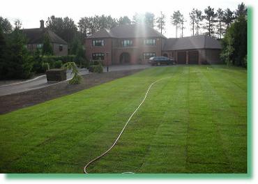 Elmcroft Turfcare Lawncare Specialists